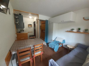 Studio 2/3 pers à 20m du télécabine, cuisine équipée, balcon sud, animaux admis - FR-1-561-116